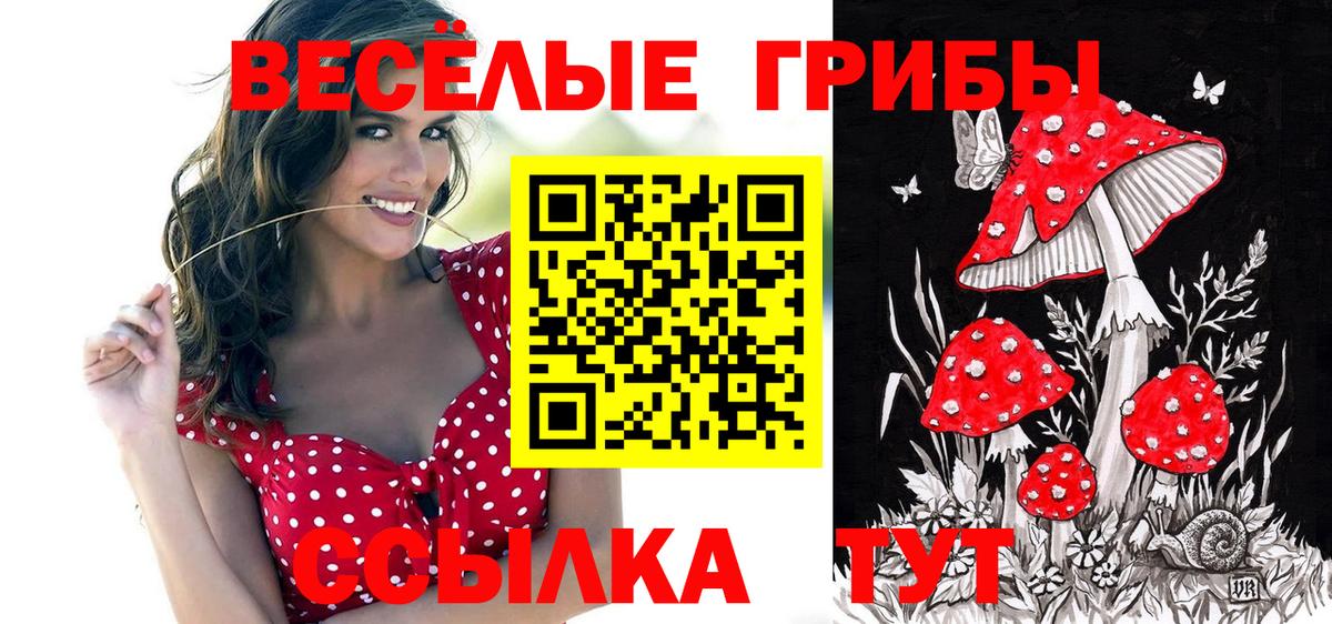 Псилоцибиновые грибы Cubensis Курган