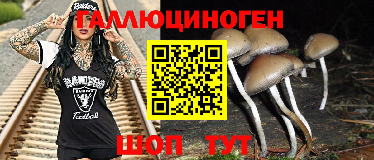 Псилоцибиновые грибы мицелий  Вход с VPN  Курган 